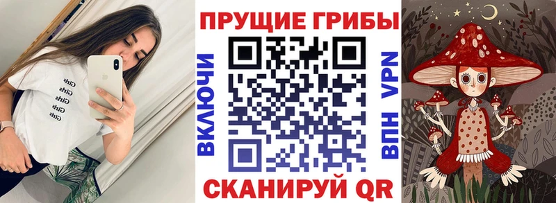 купить закладку  Пионерский  Галлюциногенные грибы мухоморы 